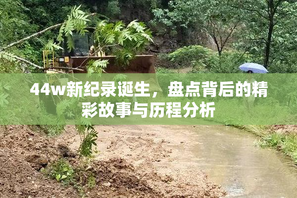 44w新纪录诞生，盘点背后的精彩故事与历程分析
