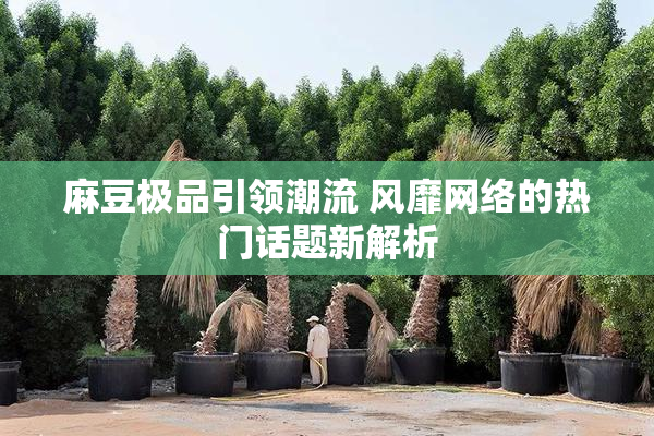 麻豆极品引领潮流 风靡网络的热门话题新解析
