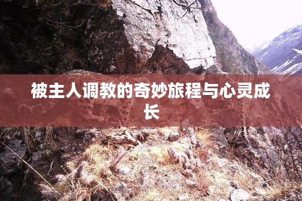 被主人调教的奇妙旅程与心灵成长
