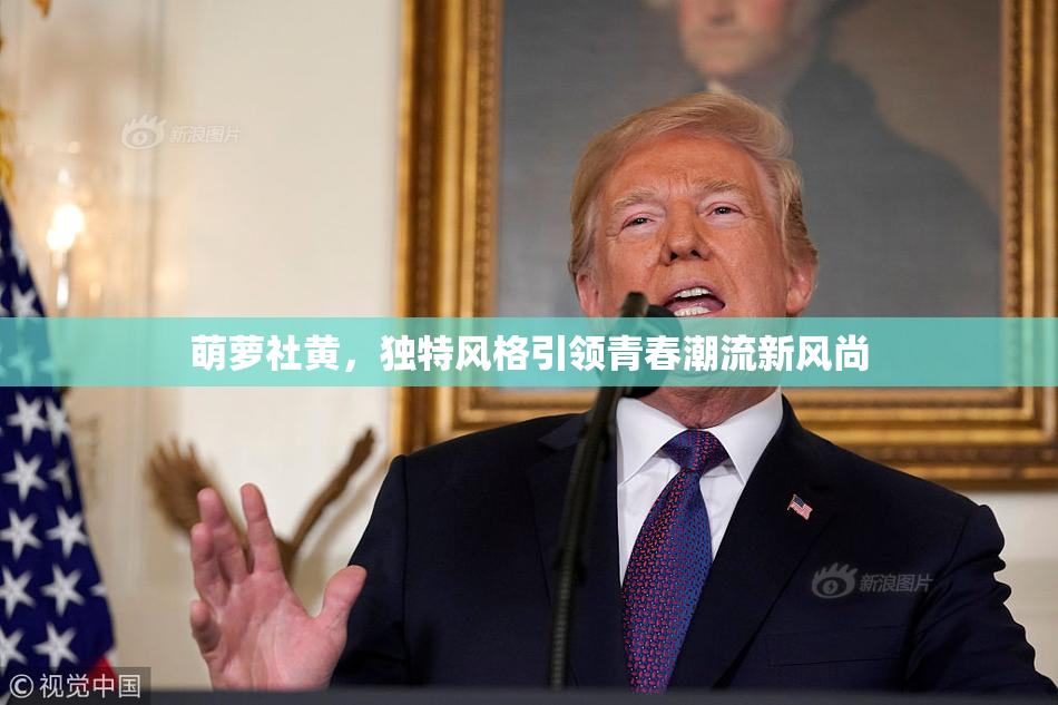 萌萝社黄，独特风格引领青春潮流新风尚