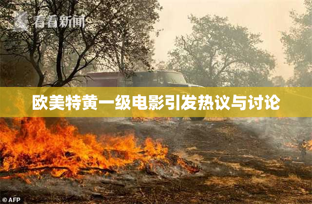 欧美特黄一级电影引发热议与讨论