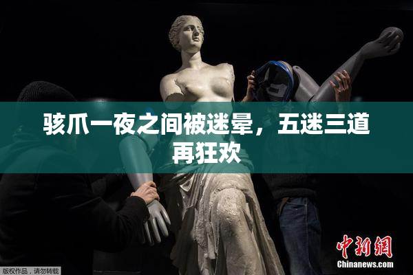 骇爪一夜之间被迷晕，五迷三道再狂欢