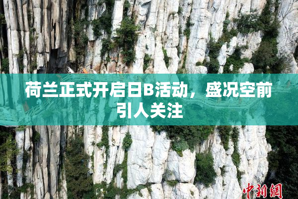 荷兰正式开启日B活动，盛况空前引人关注