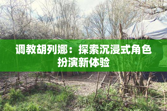 调教胡列娜：探索沉浸式角色扮演新体验