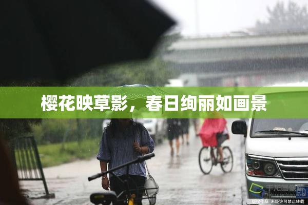 樱花映草影，春日绚丽如画景
