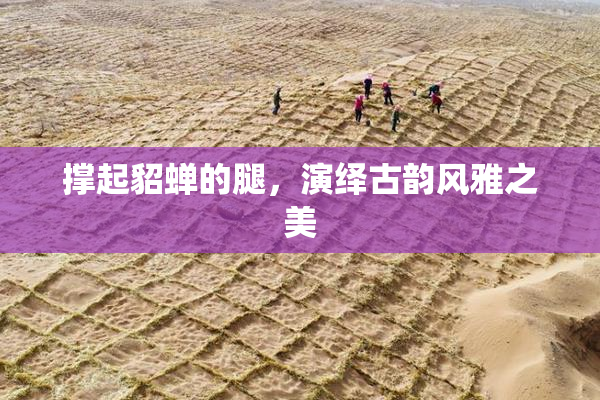 撑起貂蝉的腿，演绎古韵风雅之美