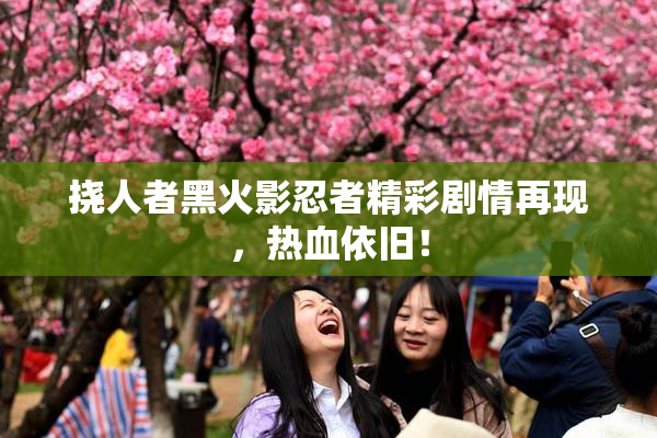 挠人者黑火影忍者精彩剧情再现，热血依旧！