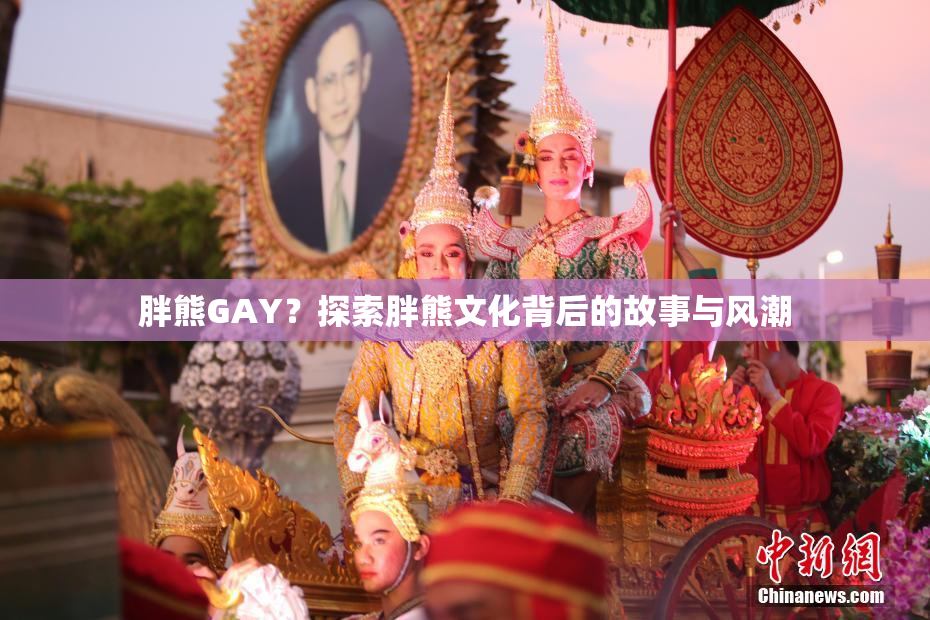 胖熊GAY？探索胖熊文化背后的故事与风潮