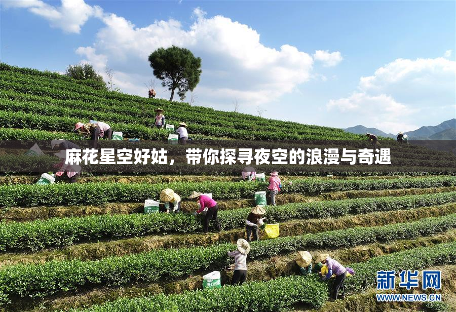 麻花星空好姑，带你探寻夜空的浪漫与奇遇