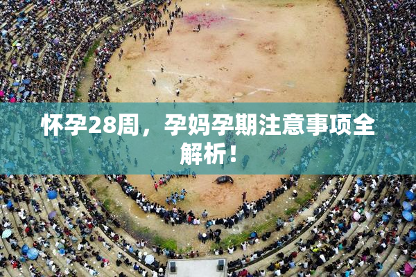 怀孕28周，孕妈孕期注意事项全解析！