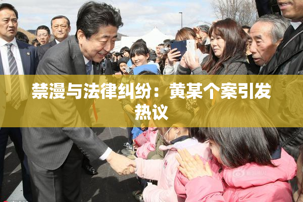 禁漫与法律纠纷：黄某个案引发热议