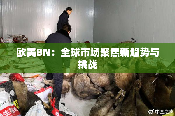 欧美BN：全球市场聚焦新趋势与挑战