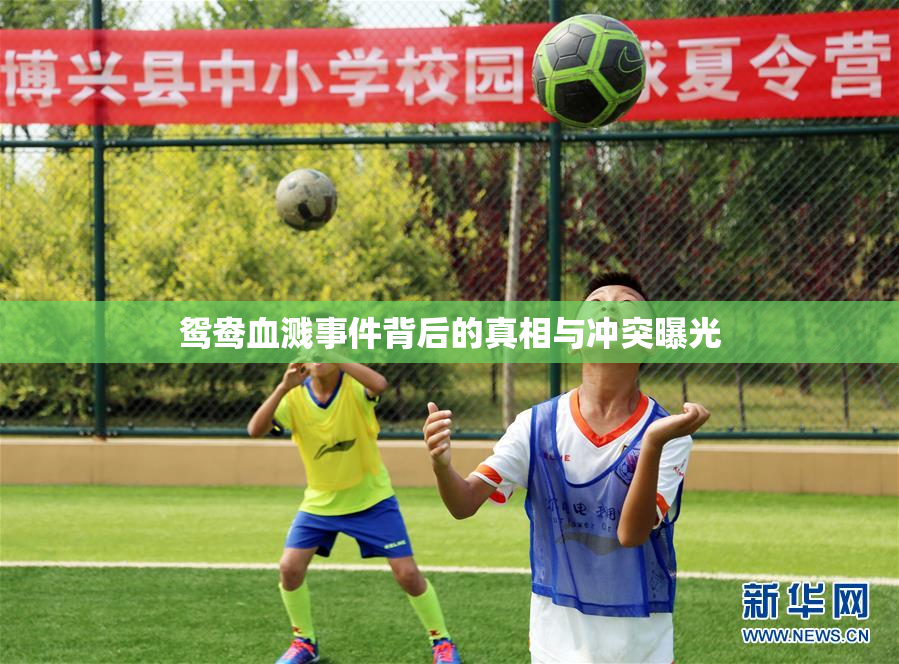 鸳鸯血溅事件背后的真相与冲突曝光