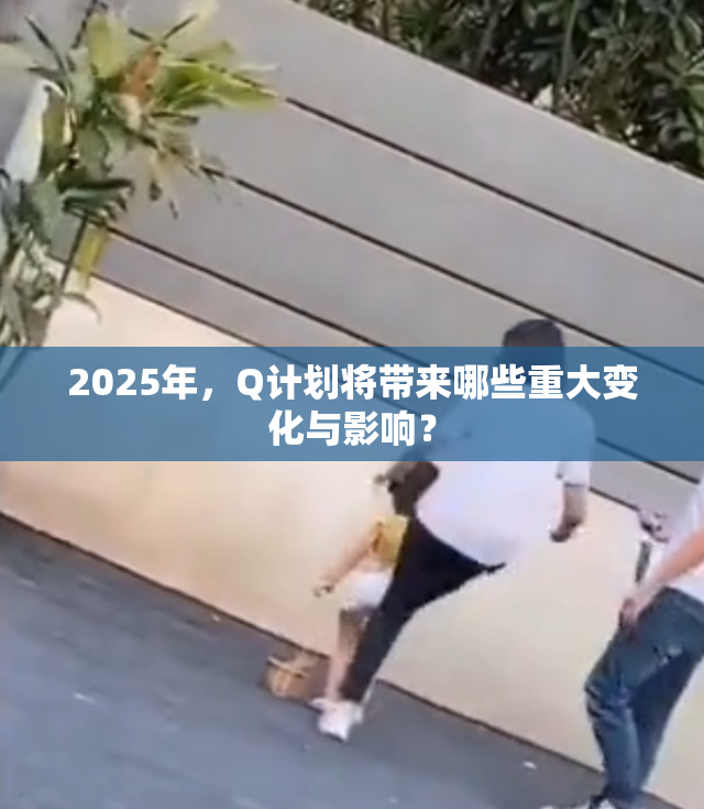 2025年，Q计划将带来哪些重大变化与影响？
