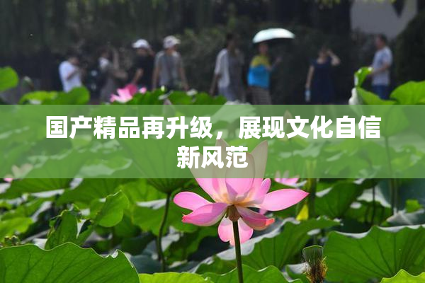 国产精品再升级，展现文化自信新风范