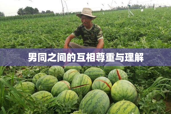 男同之间的互相尊重与理解