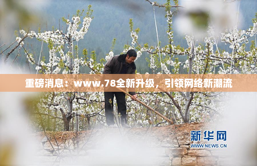 重磅消息：www.78全新升级，引领网络新潮流