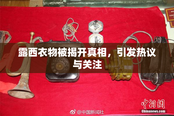 露西衣物被揭开真相，引发热议与关注