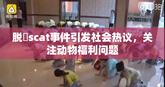 脱糞scat事件引发社会热议，关注动物福利问题