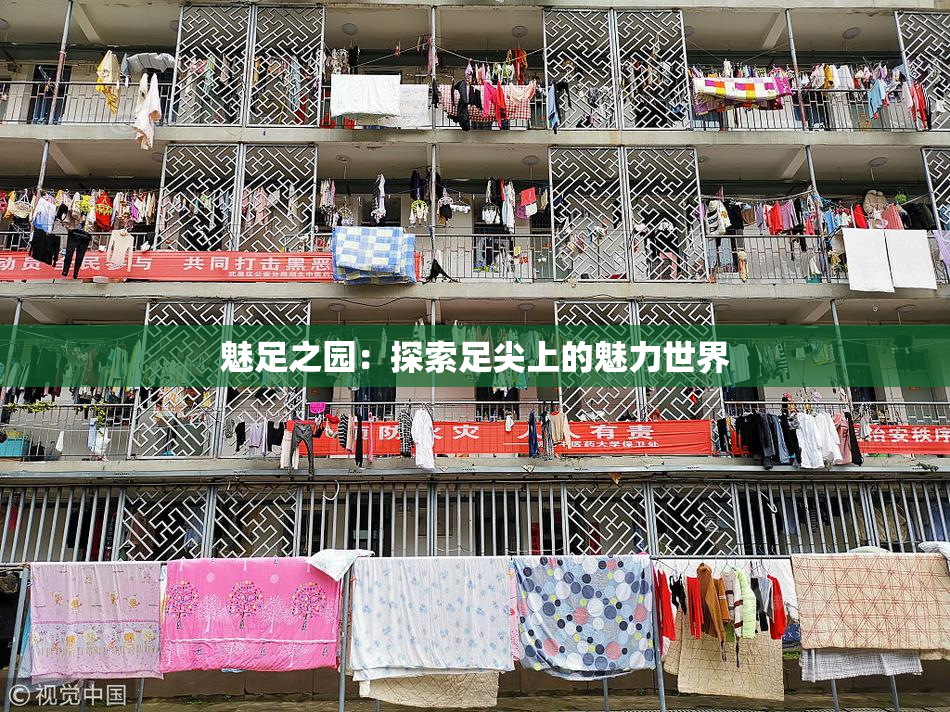 魅足之园：探索足尖上的魅力世界