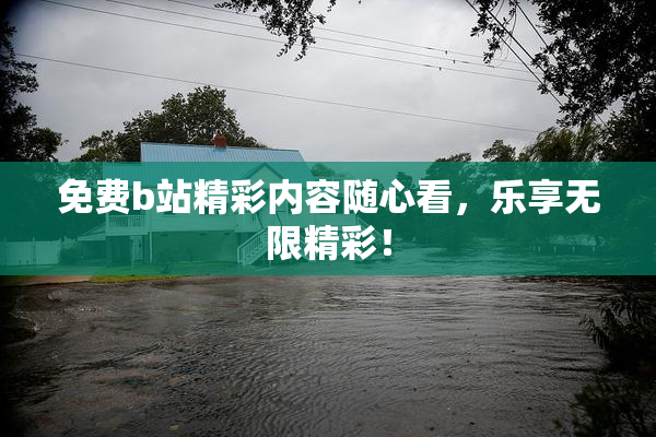 免费b站精彩内容随心看，乐享无限精彩！