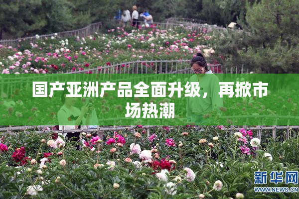 国产亚洲产品全面升级，再掀市场热潮