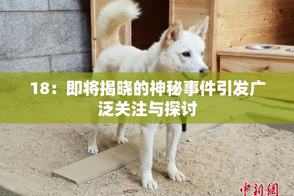 18：即将揭晓的神秘事件引发广泛关注与探讨