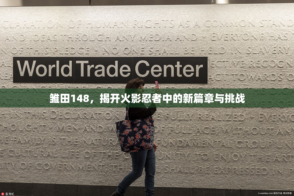 雏田148，揭开火影忍者中的新篇章与挑战