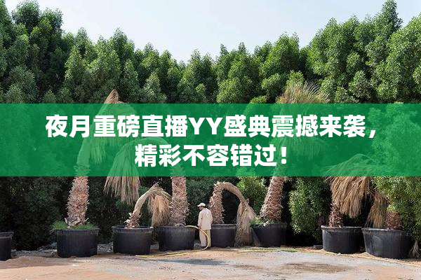 夜月重磅直播YY盛典震撼来袭，精彩不容错过！