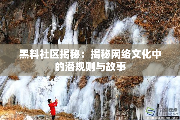 黑料社区揭秘：揭秘网络文化中的潜规则与故事