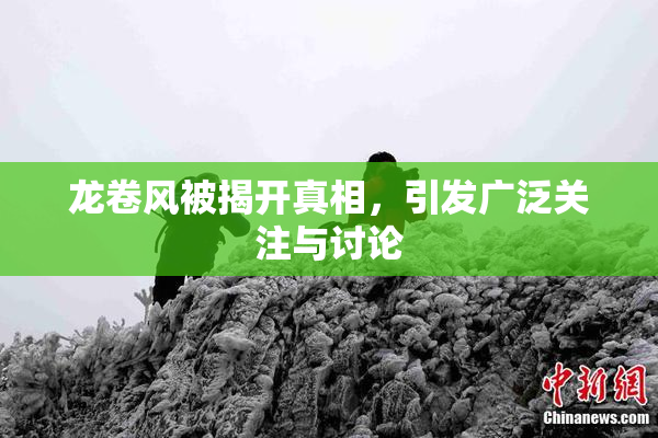 龙卷风被揭开真相，引发广泛关注与讨论