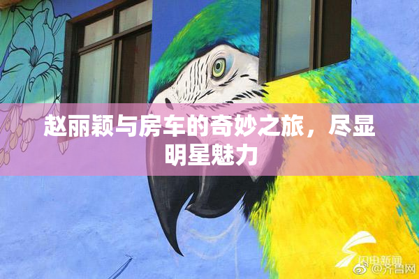赵丽颖与房车的奇妙之旅，尽显明星魅力