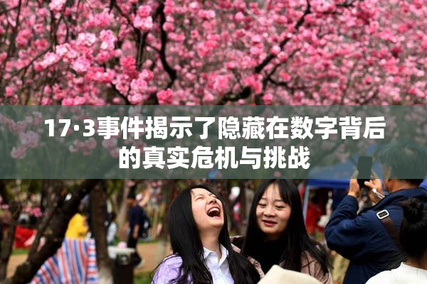 17·3事件揭示了隐藏在数字背后的真实危机与挑战