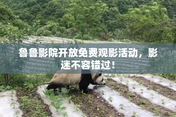 鲁鲁影院开放免费观影活动，影迷不容错过！