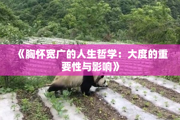 《胸怀宽广的人生哲学：大度的重要性与影响》
