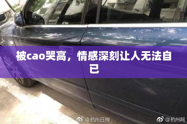 被cao哭高，情感深刻让人无法自已