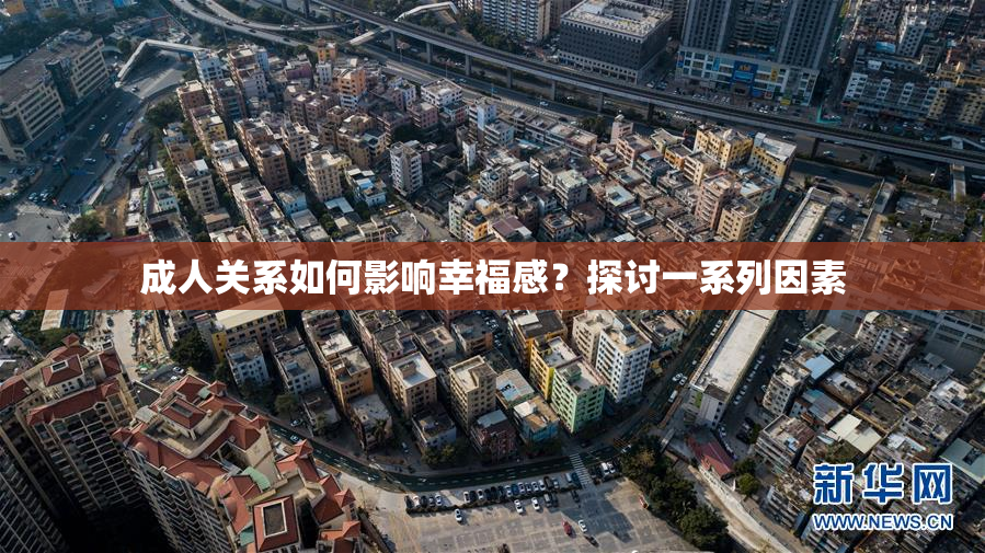 成人关系如何影响幸福感？探讨一系列因素