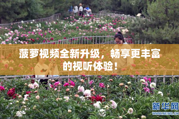 菠萝视频全新升级，畅享更丰富的视听体验！