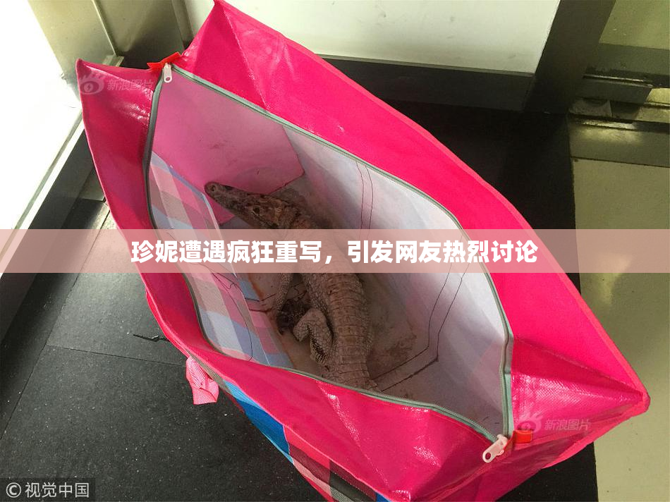 珍妮遭遇疯狂重写，引发网友热烈讨论