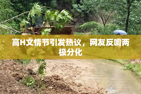 高H文情节引发热议，网友反响两极分化