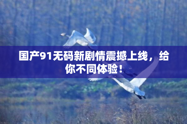 国产91无码新剧情震撼上线，给你不同体验！