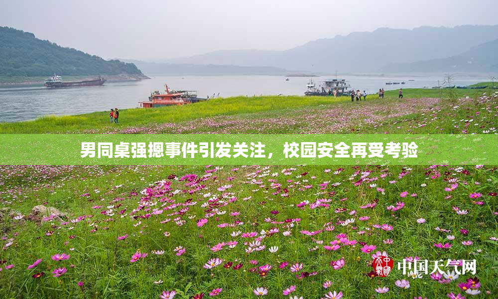 男同桌强摁事件引发关注，校园安全再受考验