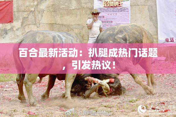 百合最新活动：扒腿成热门话题，引发热议！