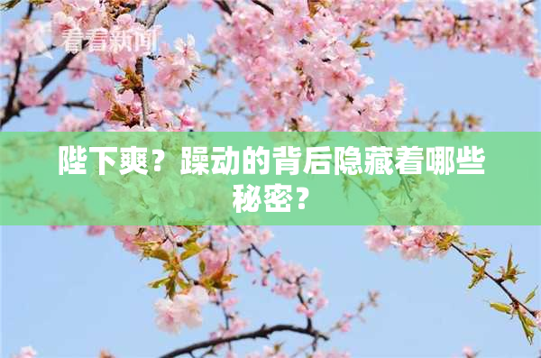 陛下爽？躁动的背后隐藏着哪些秘密？