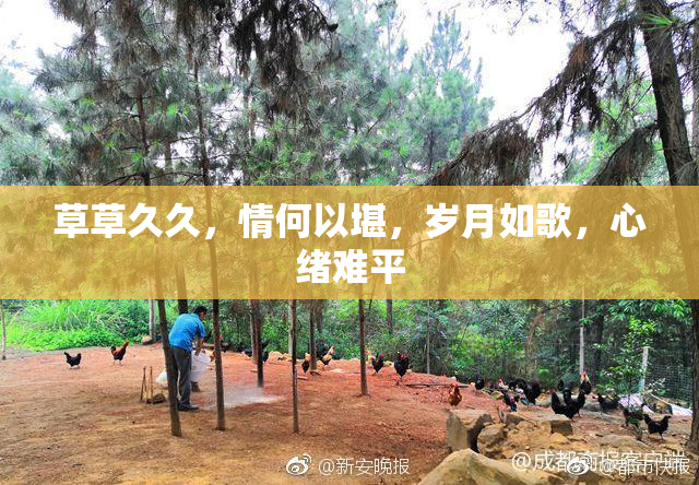 草草久久，情何以堪，岁月如歌，心绪难平