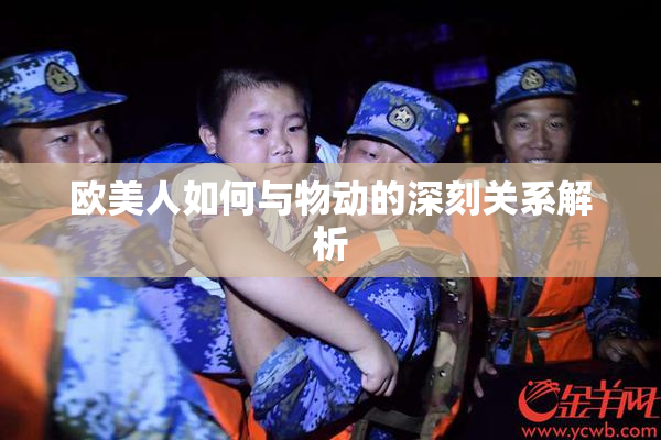 欧美人如何与物动的深刻关系解析