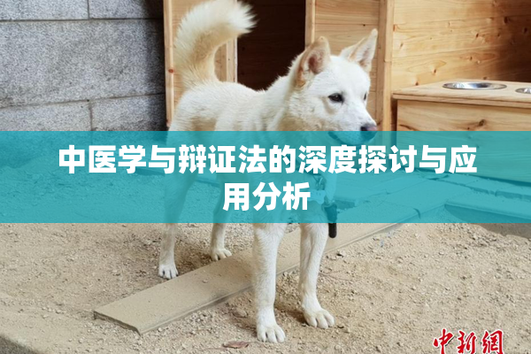 中医学与辩证法的深度探讨与应用分析