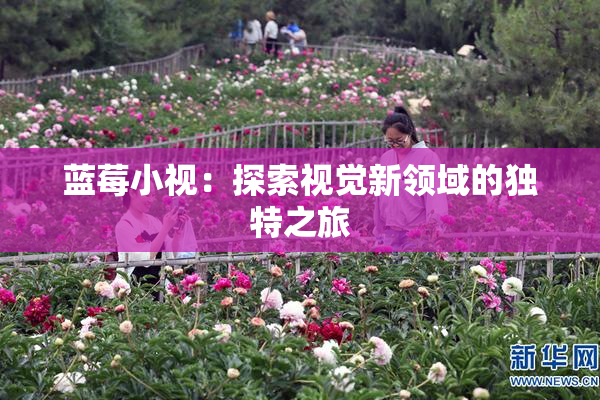 蓝莓小视：探索视觉新领域的独特之旅