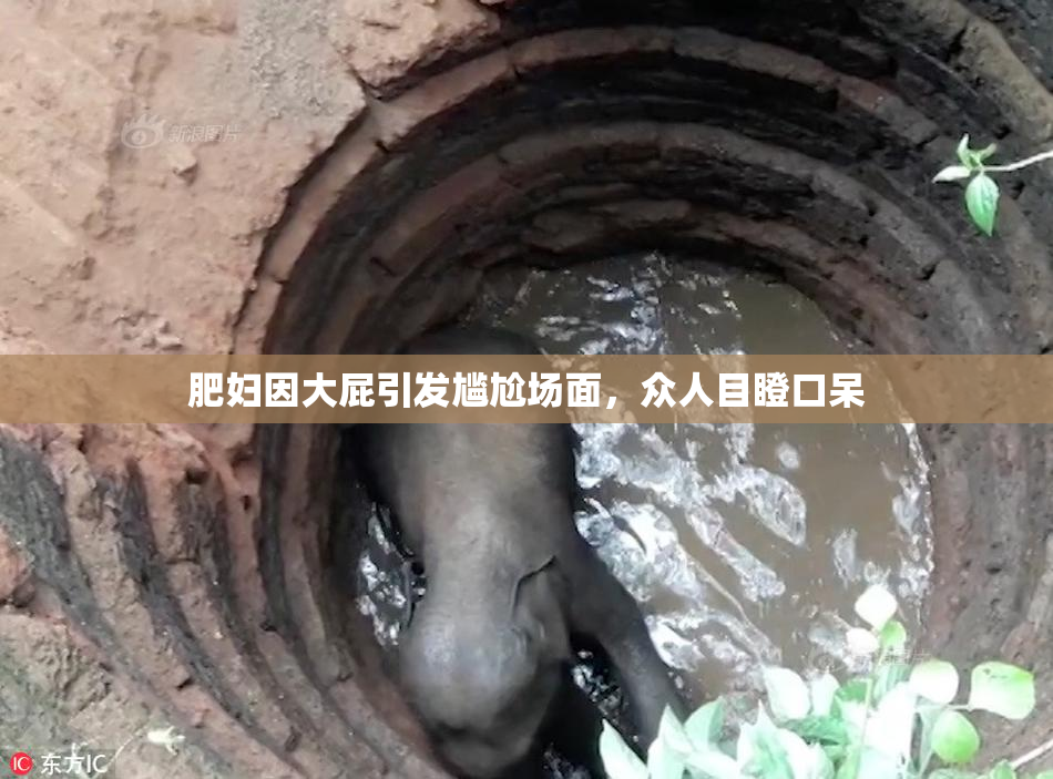 肥妇因大屁引发尴尬场面，众人目瞪口呆