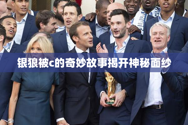 银狼被c的奇妙故事揭开神秘面纱